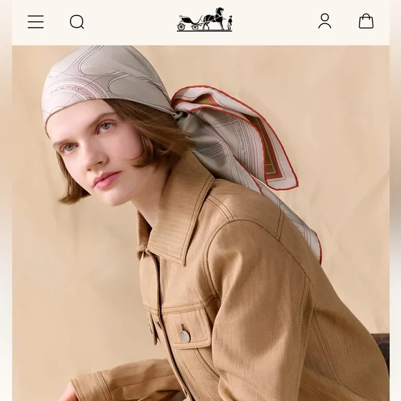 HERMES PETIT DUC DOUBLE FACE SCARF 90 SILK TWILL - Picture 8 of 11